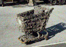 A shopping cart pulled from an infested lake